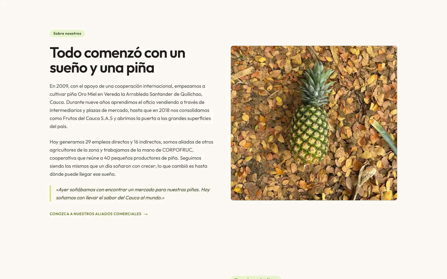 Frutos del Cauca: Historia de origen
