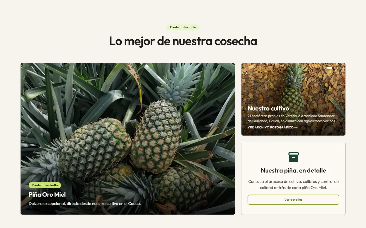Frutos del Cauca: Vitrina de la cosecha